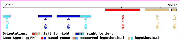 gene map