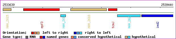 gene map