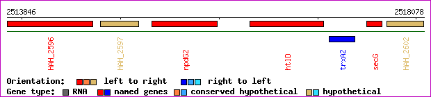 gene map