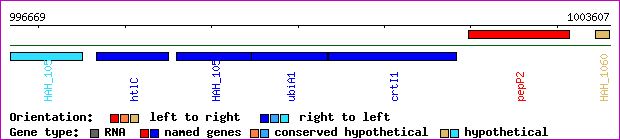 gene map