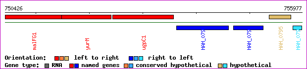 gene map