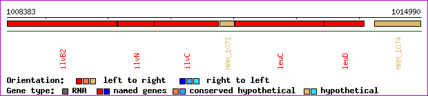 gene map