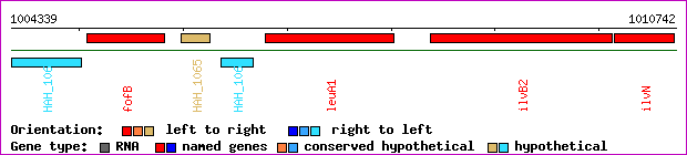 gene map