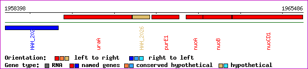 gene map