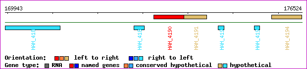 gene map