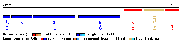 gene map