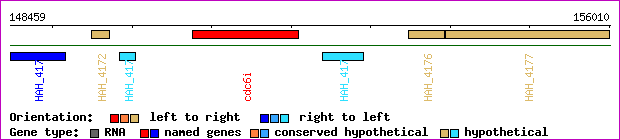 gene map