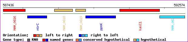 gene map