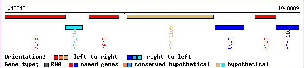 gene map