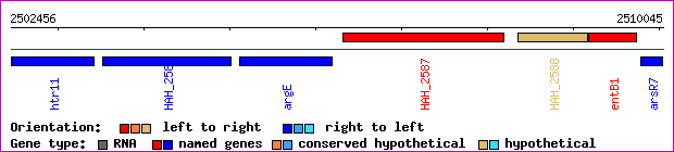 gene map