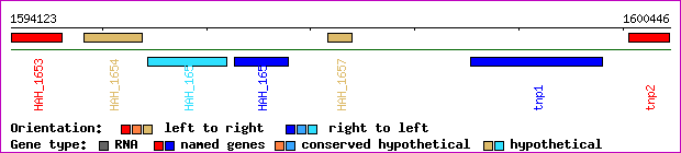 gene map
