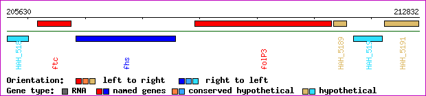 gene map