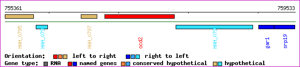 gene map