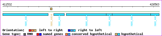 gene map