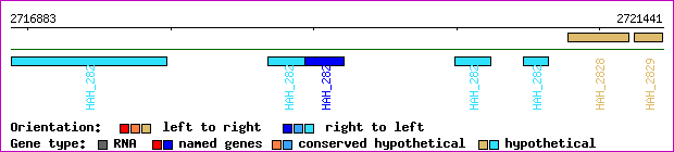 gene map