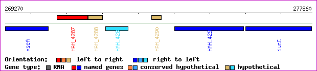 gene map