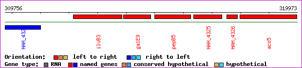 gene map