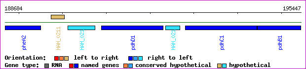 gene map