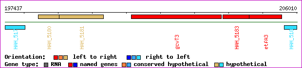 gene map