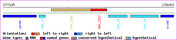 gene map