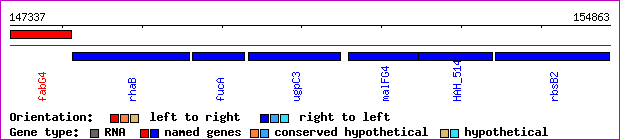 gene map