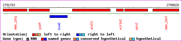 gene map