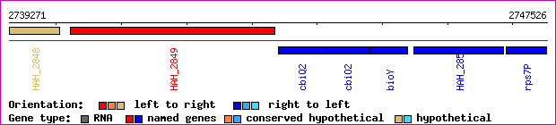 gene map