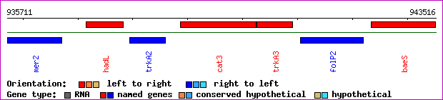 gene map