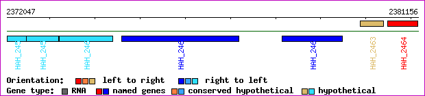gene map