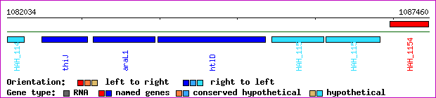 gene map