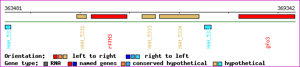 gene map