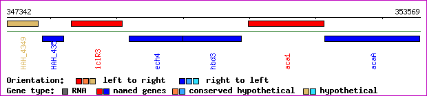 gene map