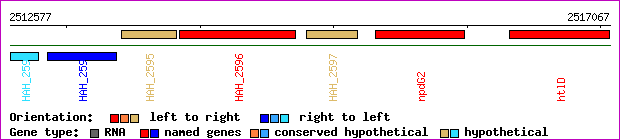 gene map