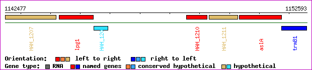gene map