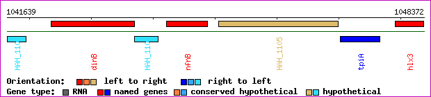 gene map