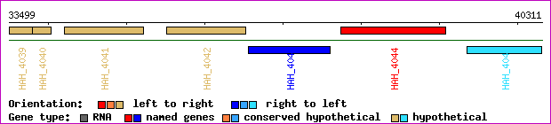gene map