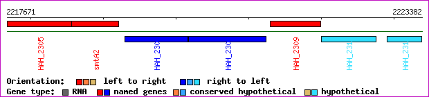 gene map