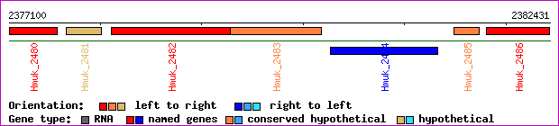 gene map