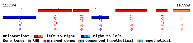 gene map