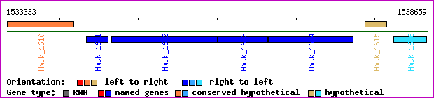 gene map