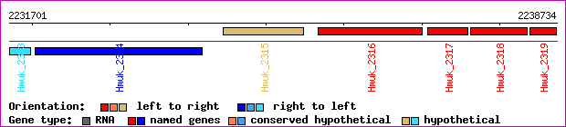 gene map
