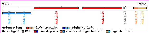 gene map