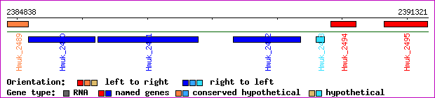 gene map