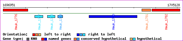 gene map