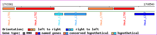 gene map