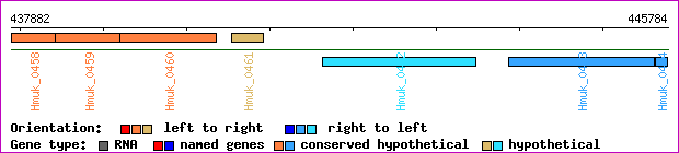 gene map