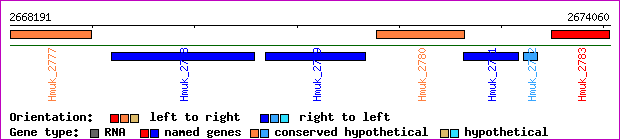 gene map