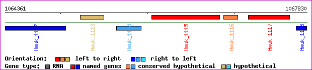 gene map
