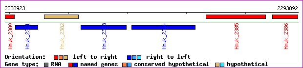gene map