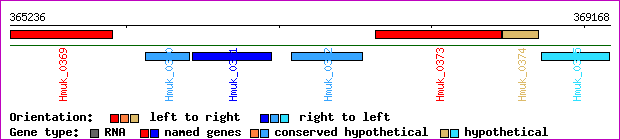 gene map